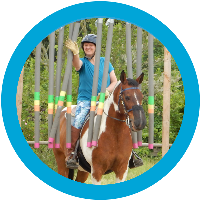 A picture of an AB Mentor