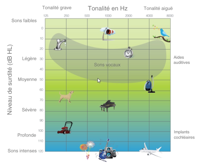 Un diagramme des niveaux sonores en décibels.