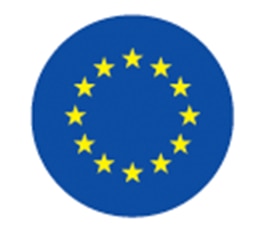 Round EU flag