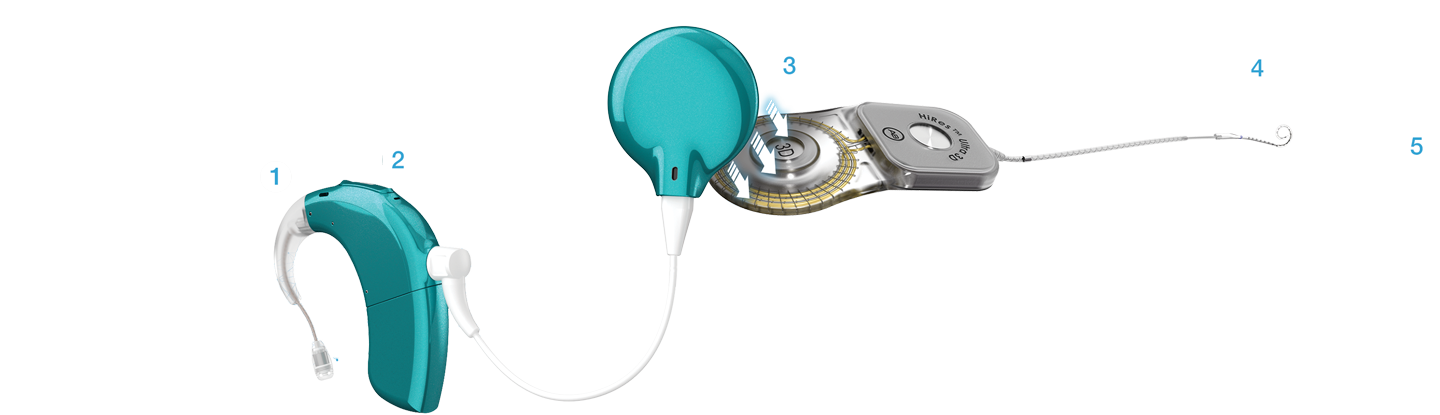 diagram how it works sky ci in color caribbean pirate and ultra 3d 